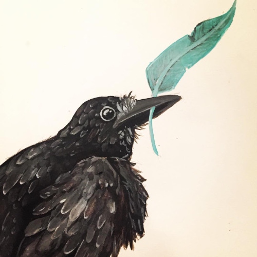 crow.jpg
