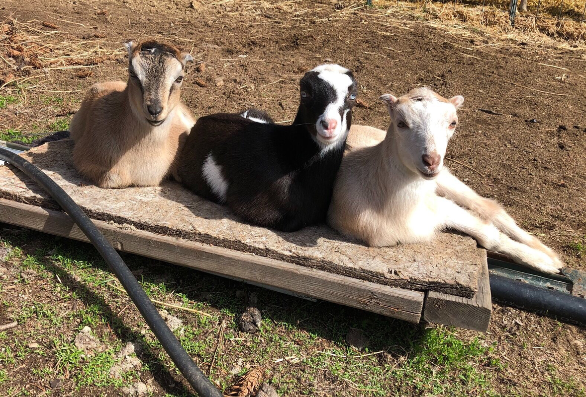 4E8B7154-945E-4CC1-A9AE-C5B367F4C1D0