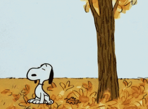 Fall-snoopy-blow-leaf
