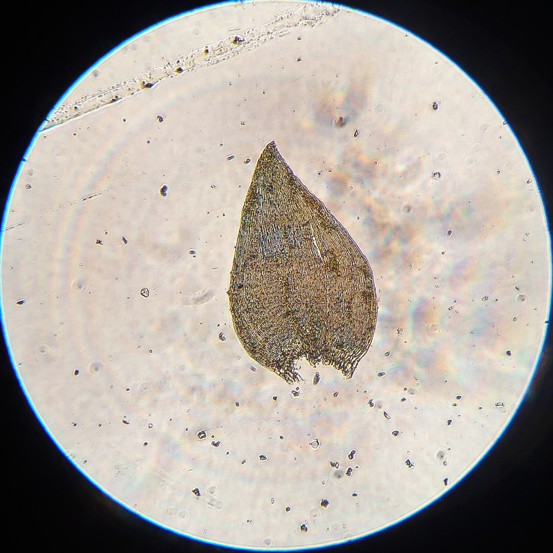 IMG 20250616 220145 HDR