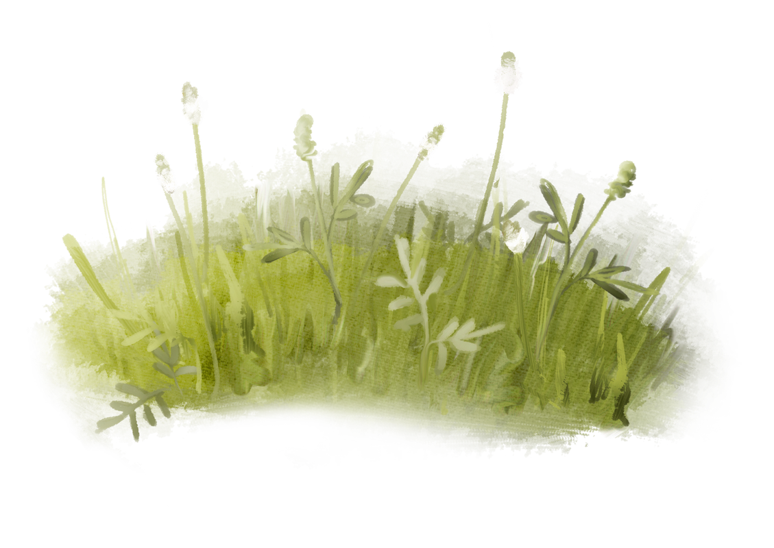 emeto_summer playground_grass overlay 3