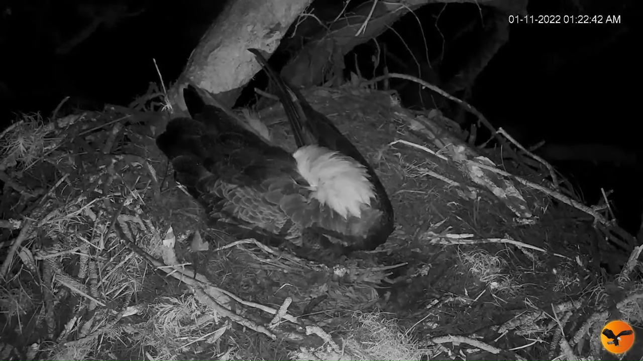 EC 4K Overhead Cam 7-42-56 screenshot