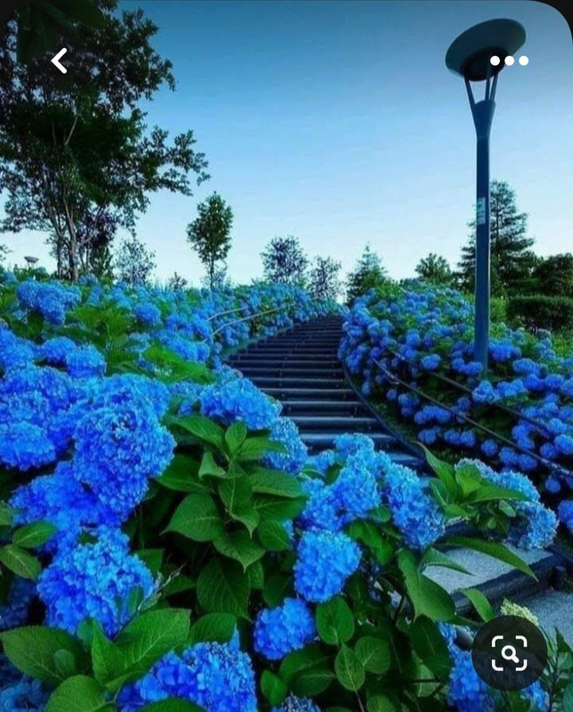 Screenshot_20230601_020351_Pinterest