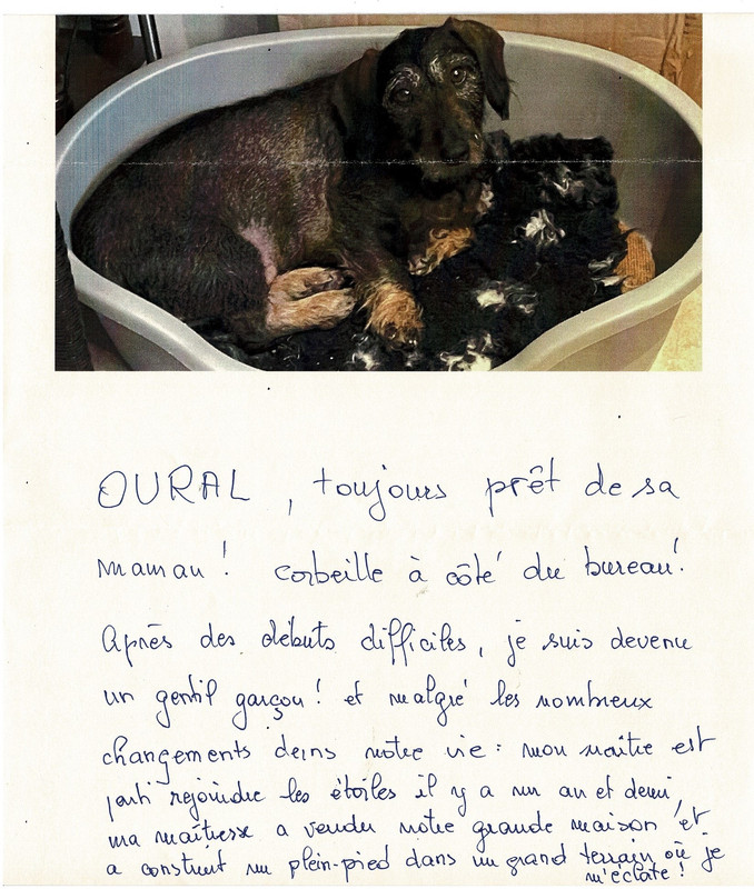 [Image: Num-risation-20240121.jpg]