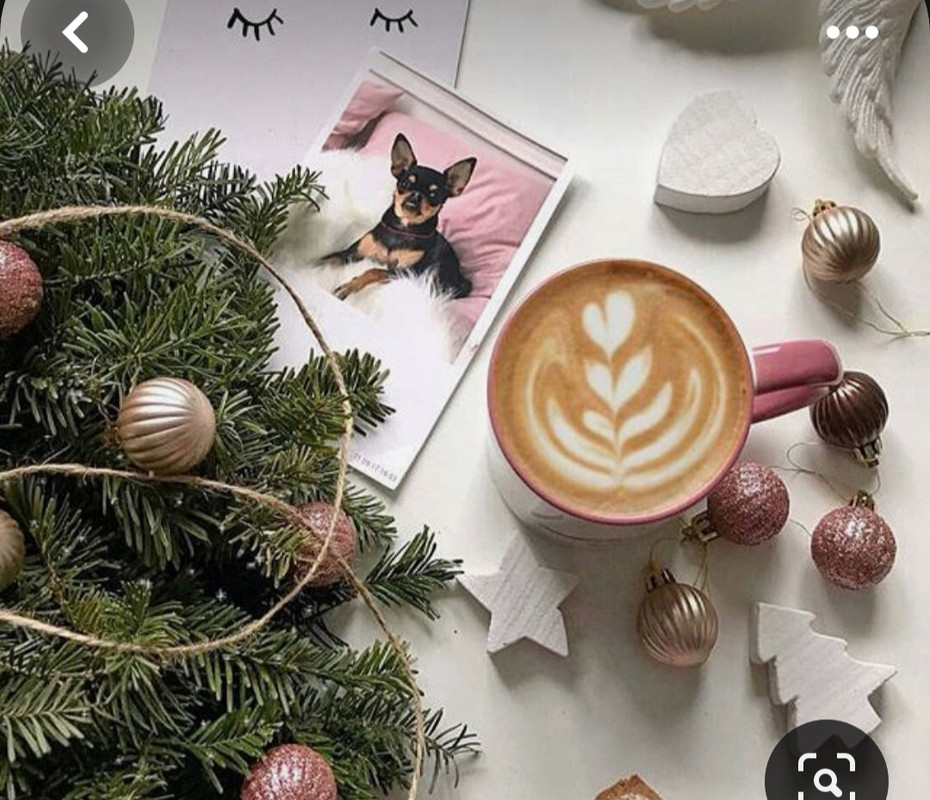 Screenshot_20240104_224042_Pinterest