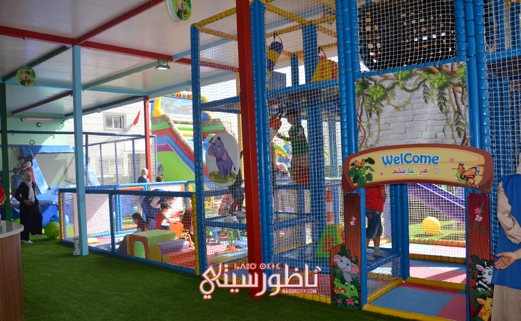 DSC-8088