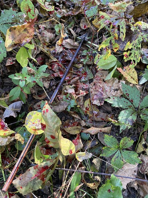 26614184-0CE3-4F4D-9210-E576015E141F