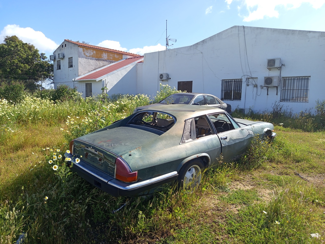 IMG 20250419 111321