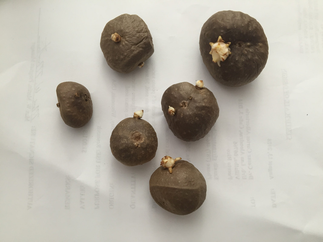 FA57D4CC-FF00-4298-9847-553C17E3286A