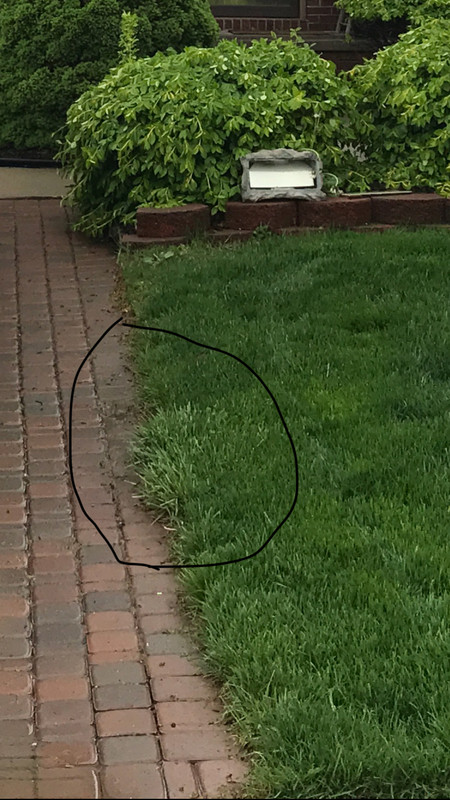 85B88A6E-62F5-4AB4-AFA4-54EA4AA5DF1B