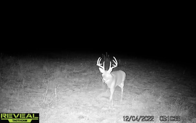 F6611-AE0-2-DA8-49-A8-8-C05-D5-F32530-AC