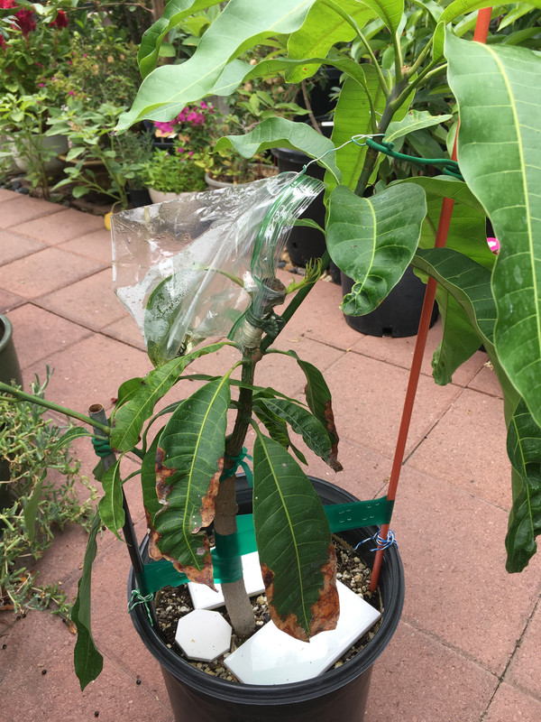 7887A565-9DCD-4931-BBE8-78830C1BF61E