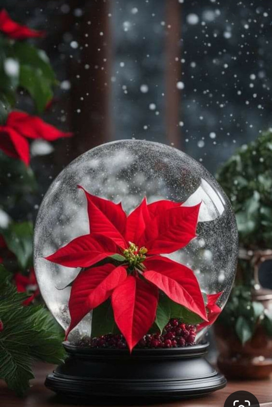 Screenshot_20231219_162445_Pinterest