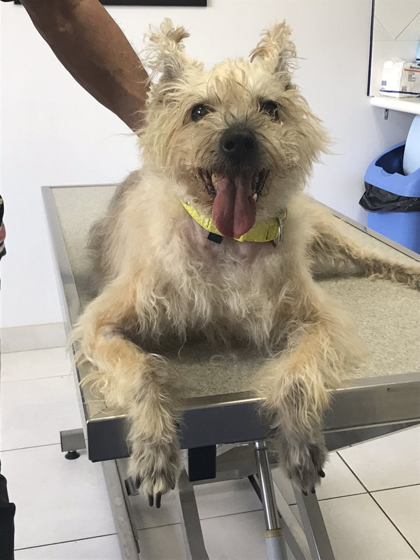 C41BF4EA-7F9C-4721-AA6A-10F3DE257A73