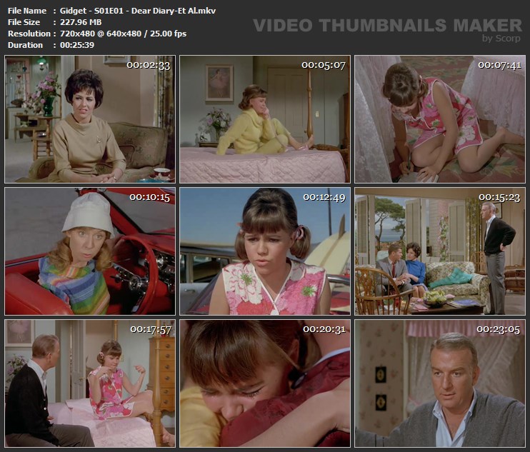 Gidget - S01E01 - Dear Diary-Et Al.mkv