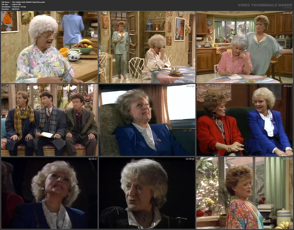 The Golden Girls S04E04 Yokel Hero.mkv