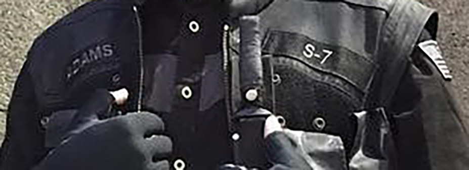 sector-7-bumblebee-movie-crop