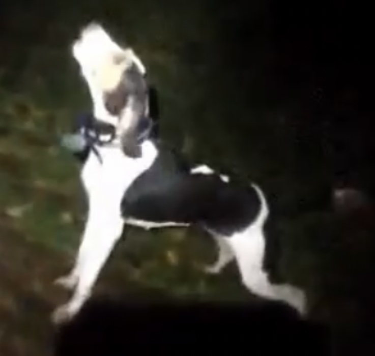 245862BA-4724-4FB8-AAD4-4E4D7D1A5C7B