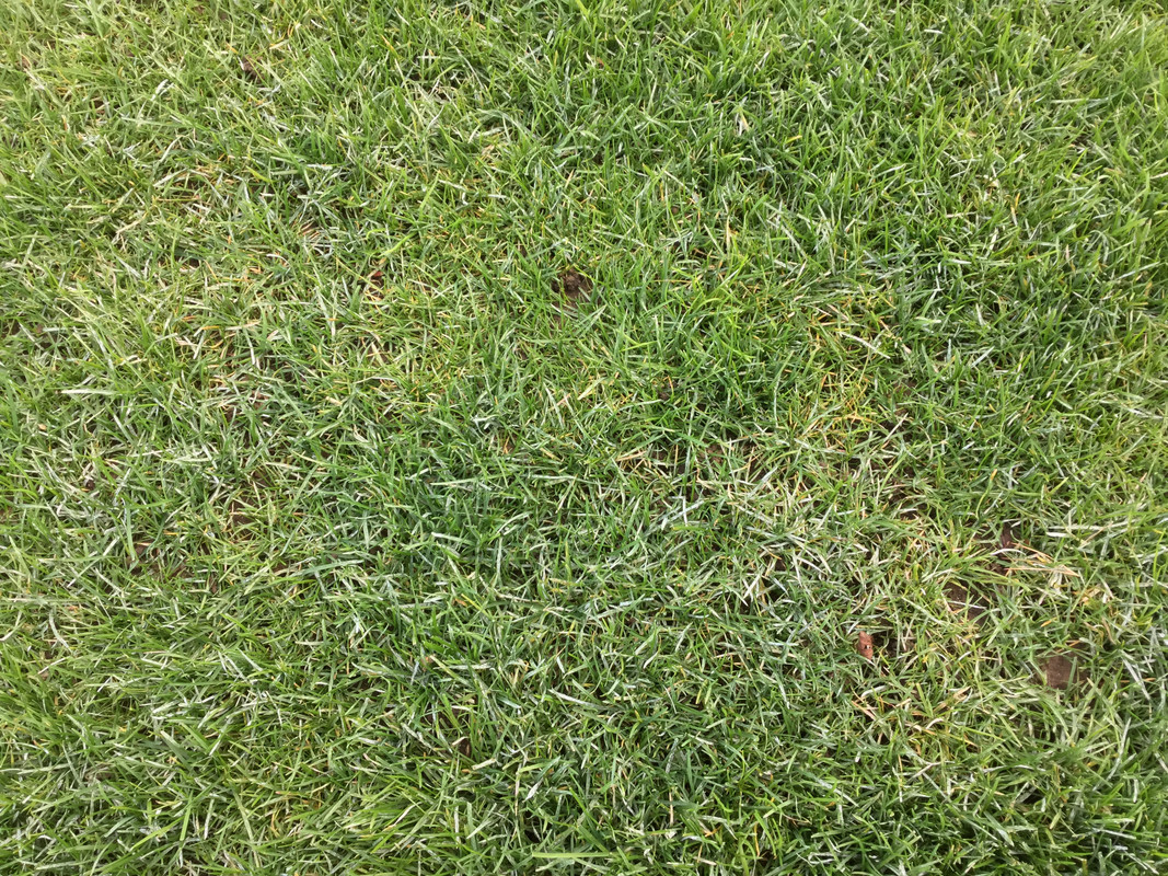 C490C044-11E5-445B-9D24-38E192456EE6