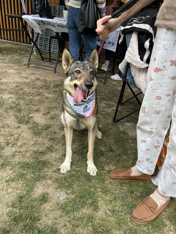 0D5FE5A9-2B74-4A11-A2FC-665B0D9B1DEA