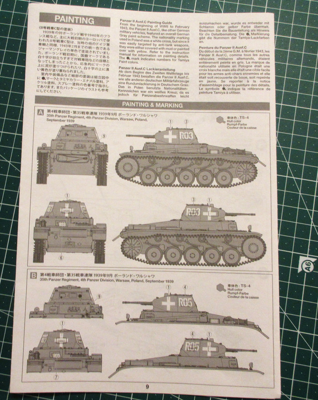 Pz.Kpfw. II Ausf C Polish Campaign-1 (5)