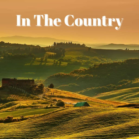 5d50e958 84b1 44e3 9e64 16c136feb187 - VA - In The Country (2022) FLAC/MP3