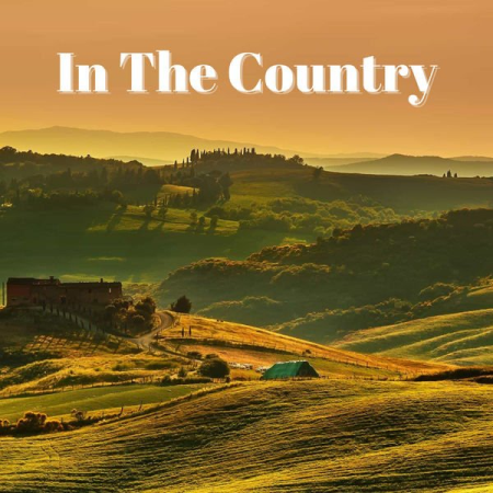 VA - In The Country (2022) FLAC/MP3