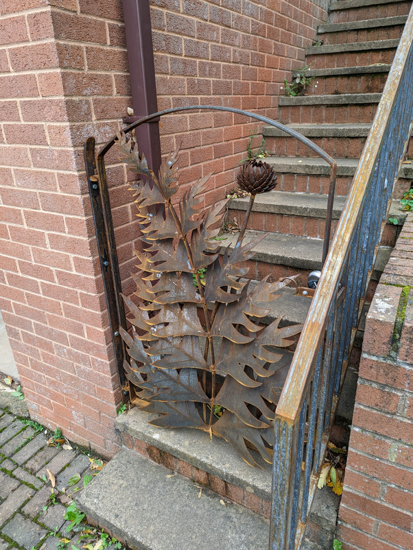 PXL_20221019_151124322