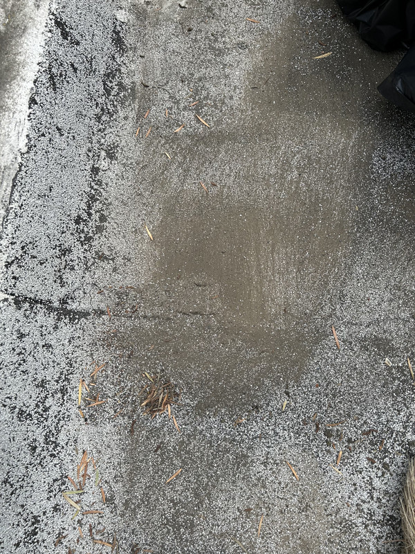 9627579A-E004-4C40-8CED-2352DA32D05E