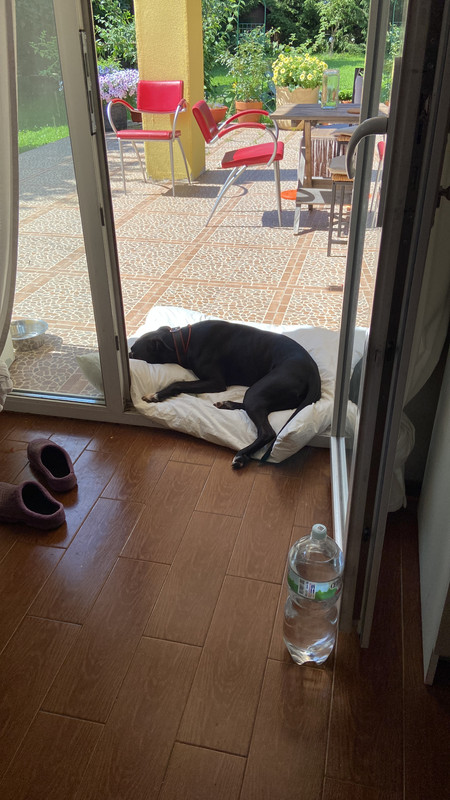 66404050-284E-41CF-9536-85A669E06B66