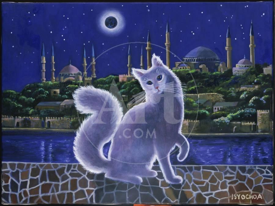 cangora-cat-istanbul-u-L-Q1-J0-OLH0