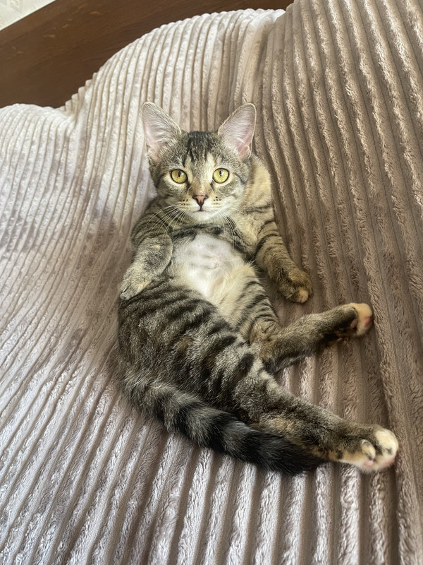 C8BCBD75-34E1-4413-AA63-F7071BC7C636