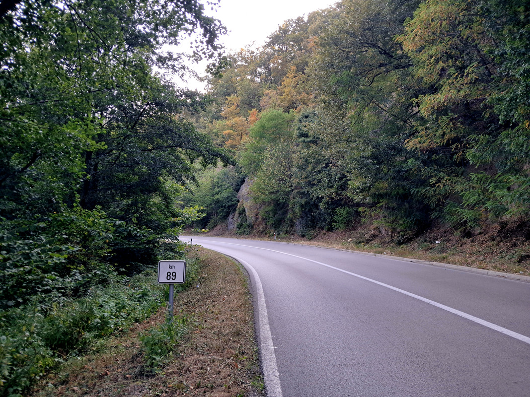 20240816-171549.jpg