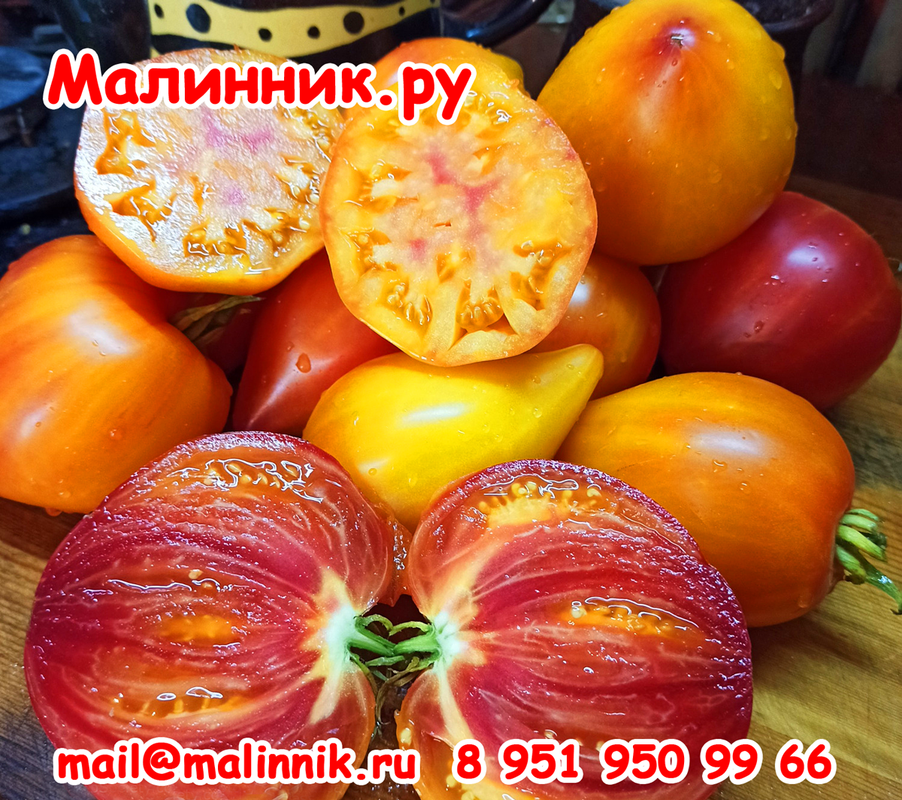 https://i.postimg.cc/8PYpKcH1/russkoe-serdcze-dousona-tomat.png