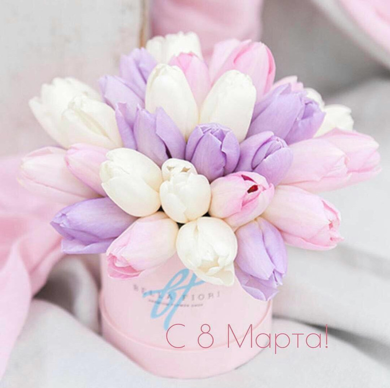 3A44A101-69DA-4FBF-87A9-CC5AE60D0872