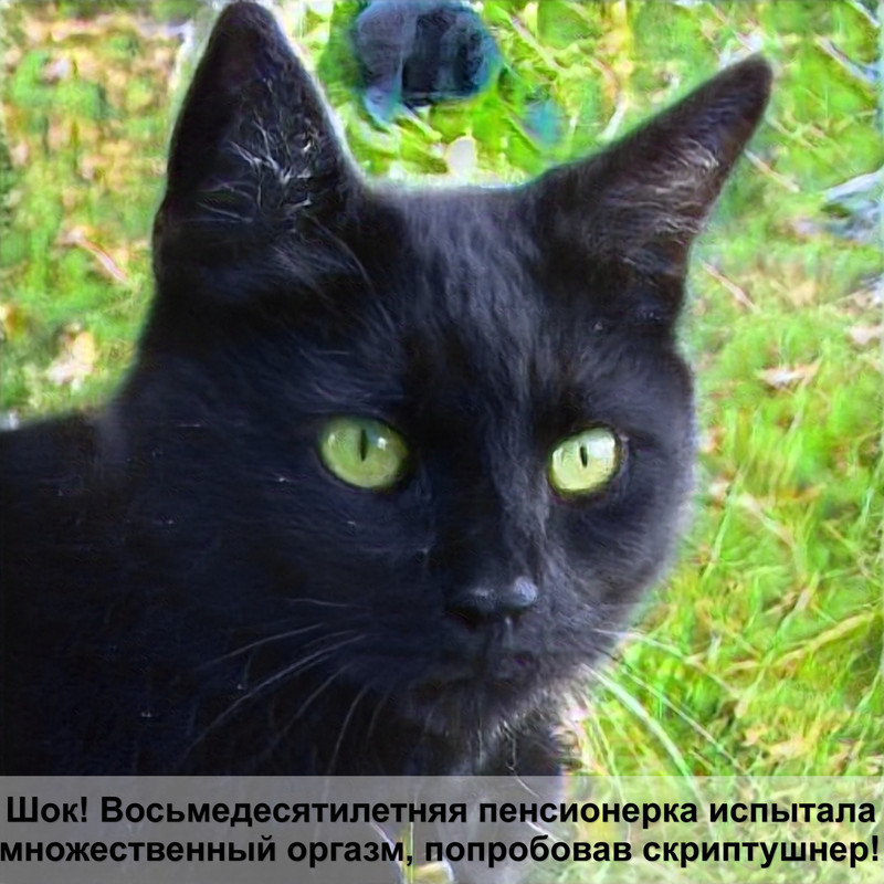 как сделать игрушку для кошки