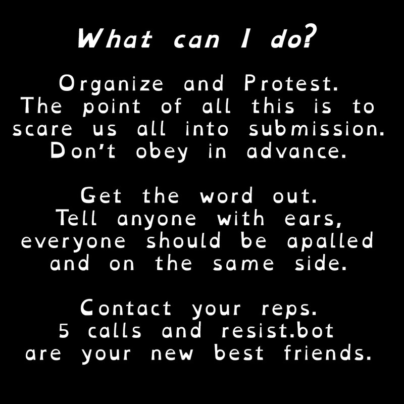 What can I do?

Organize and Protest.
The point of all this is to
scare us all into submission.
Don’t obey in advance.

Get the word out.
Tell anyone with ears,
everyone should be apalled
and on the same side.

Contact your reps.
5 calls and resist.bot
are your new best friends.