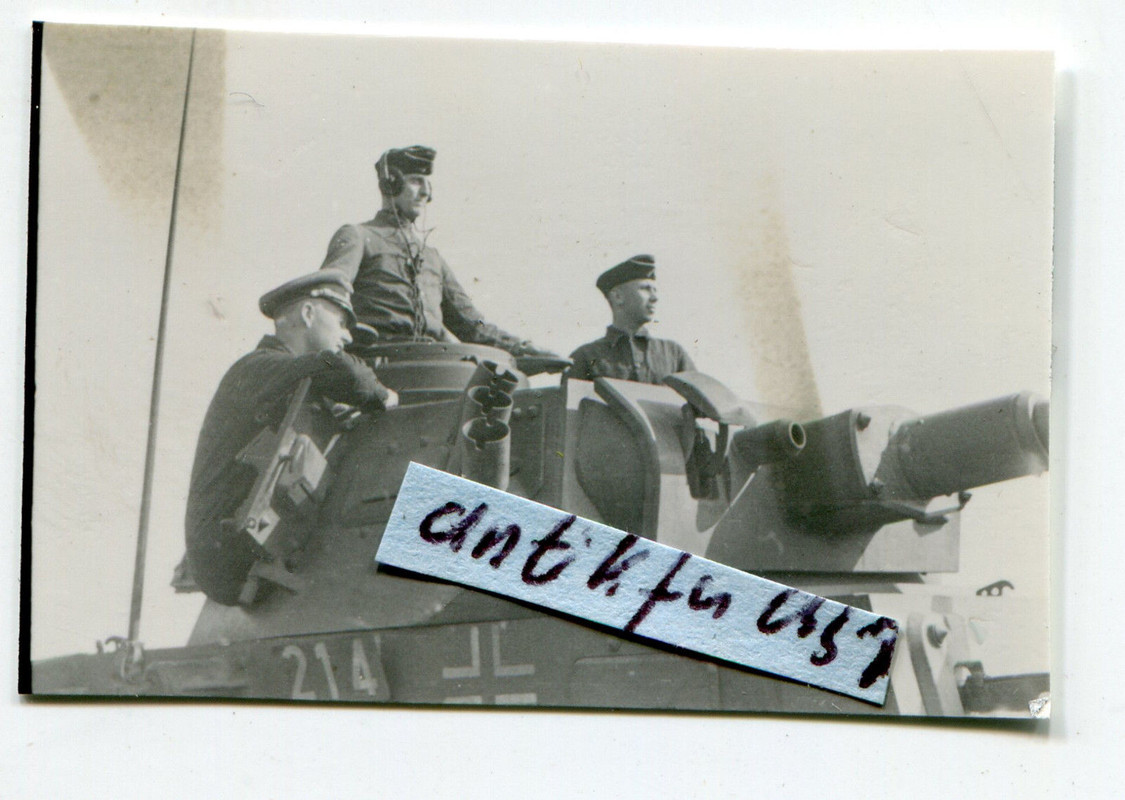 Deutscher Panzer Luchs mit 214 und Nebeltöpfe an der Front im