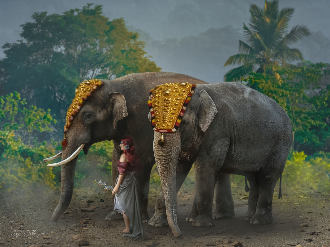 ФАНТАЗИЯ 2  подпись