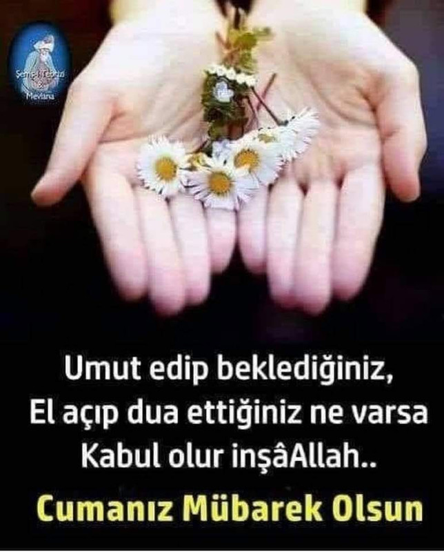 IMG 20260918 WA0006