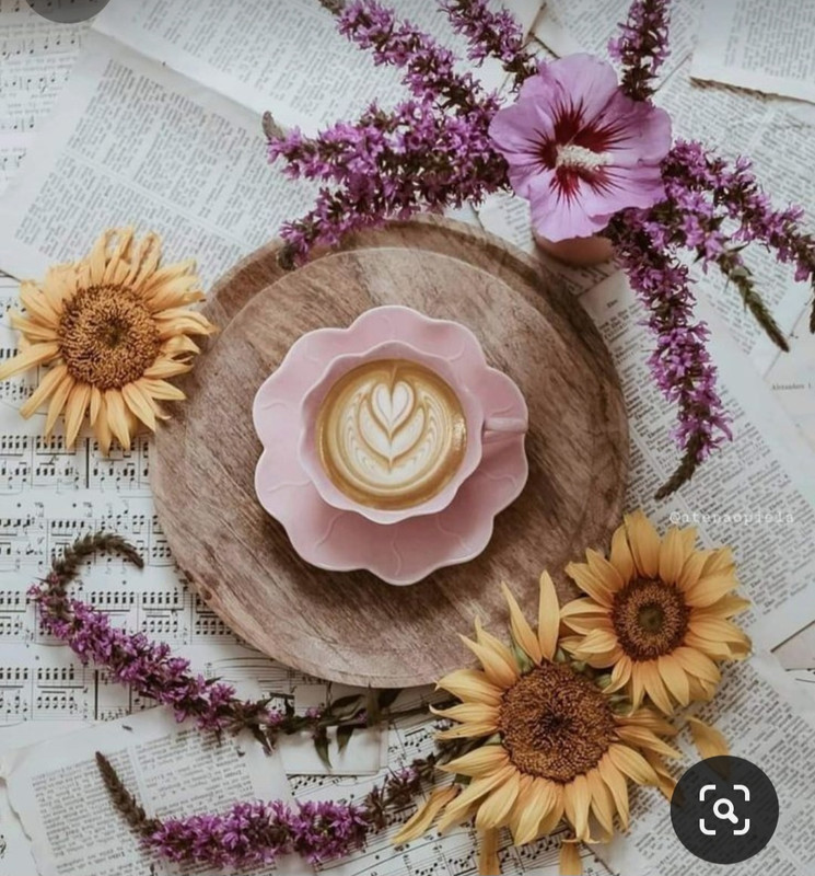 Screenshot_20240424_225941_Pinterest