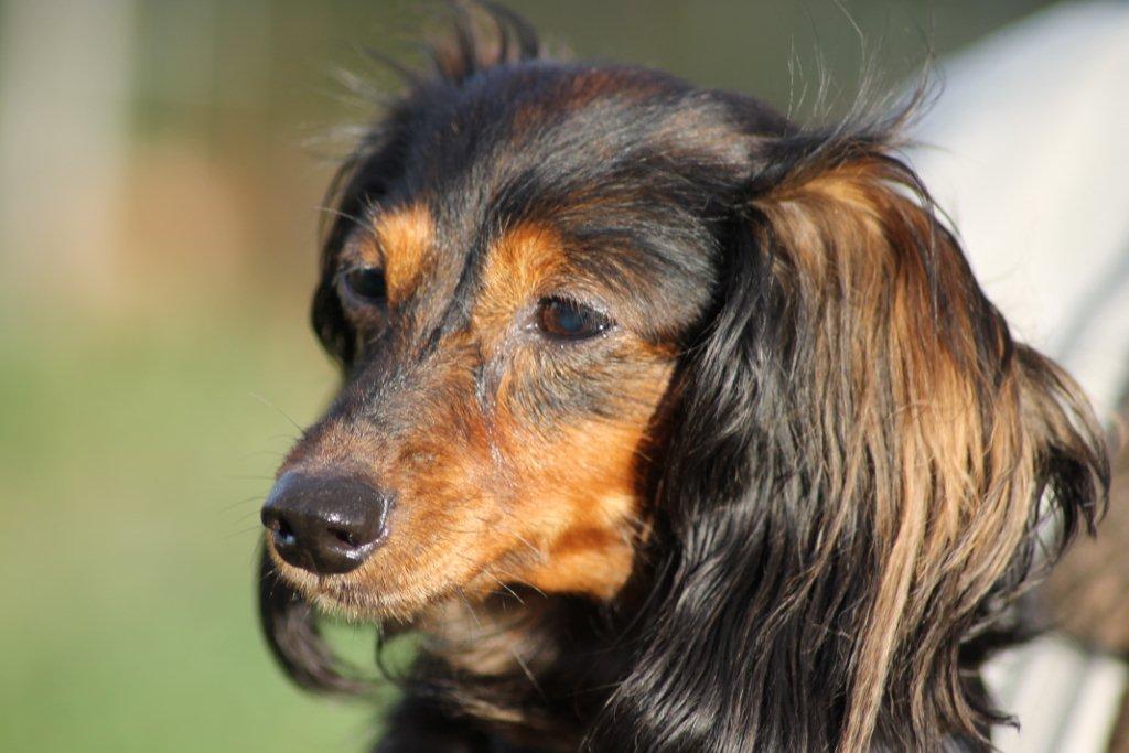 [Image: IMG-0309.jpg]