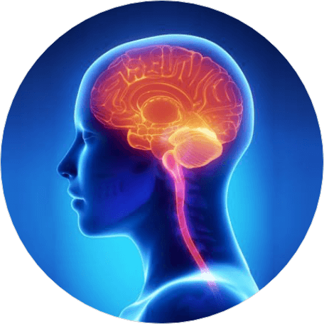 Brain & Joint Health