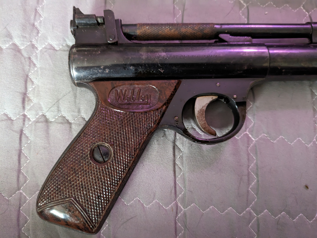 PXL_20230819_073809764