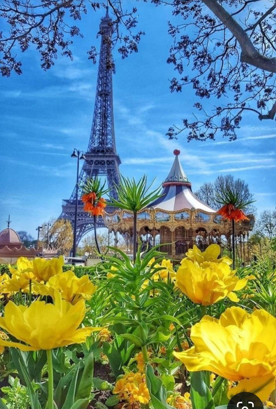 Screenshot_20240428_165234_Pinterest