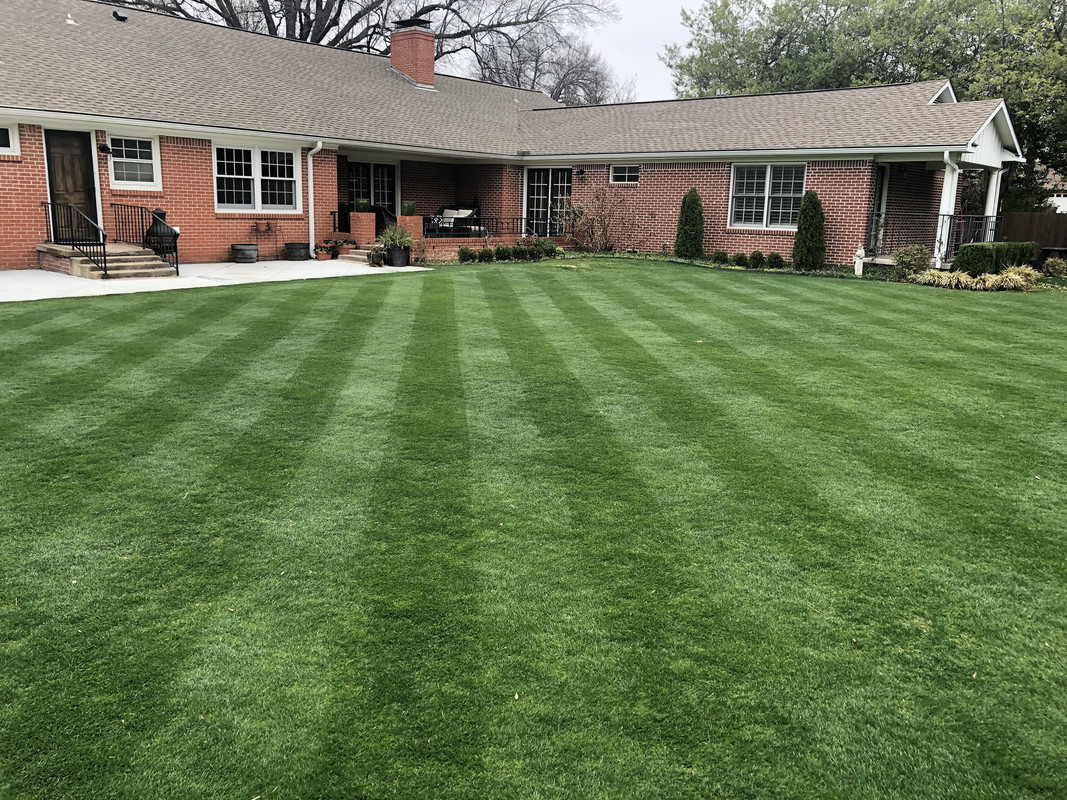 F4031184-35B3-4201-A1CB-EEA07C42E9F2