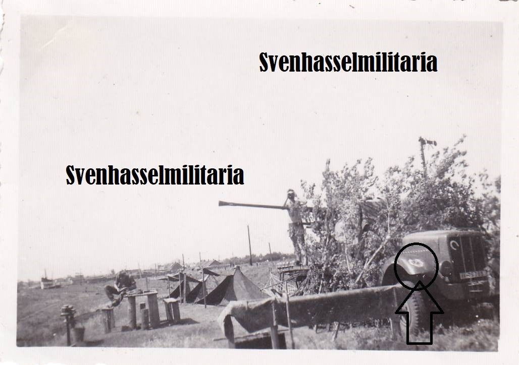 Elite Panzer Div1 LAH Halbkette   Wappen Elite   Front Tarn Stellung Jäger