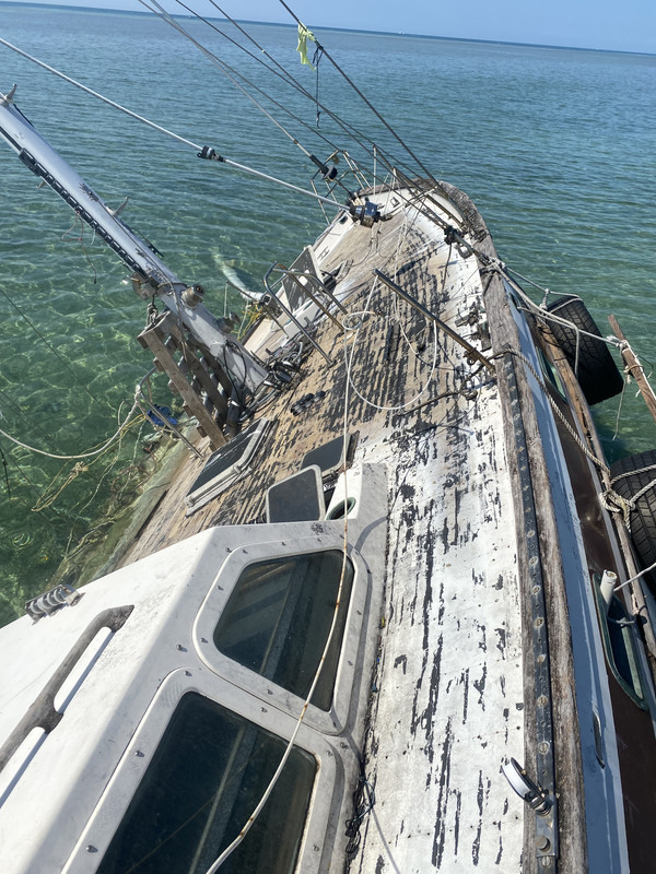 772F8F83-9C11-4156-8C45-77C31334635B