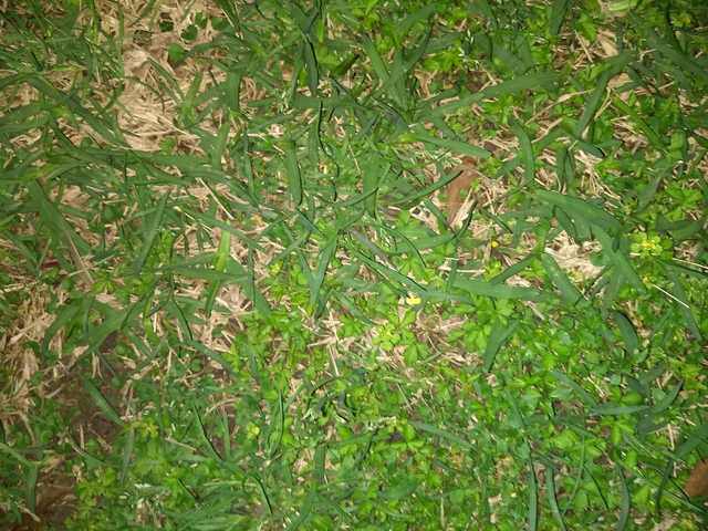 65FEE2F4-7A9E-4026-BA0E-A1A19F10DB7A