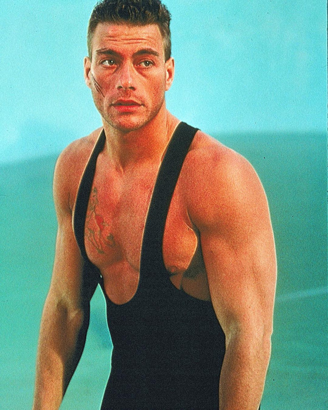 Lionheart van Damme